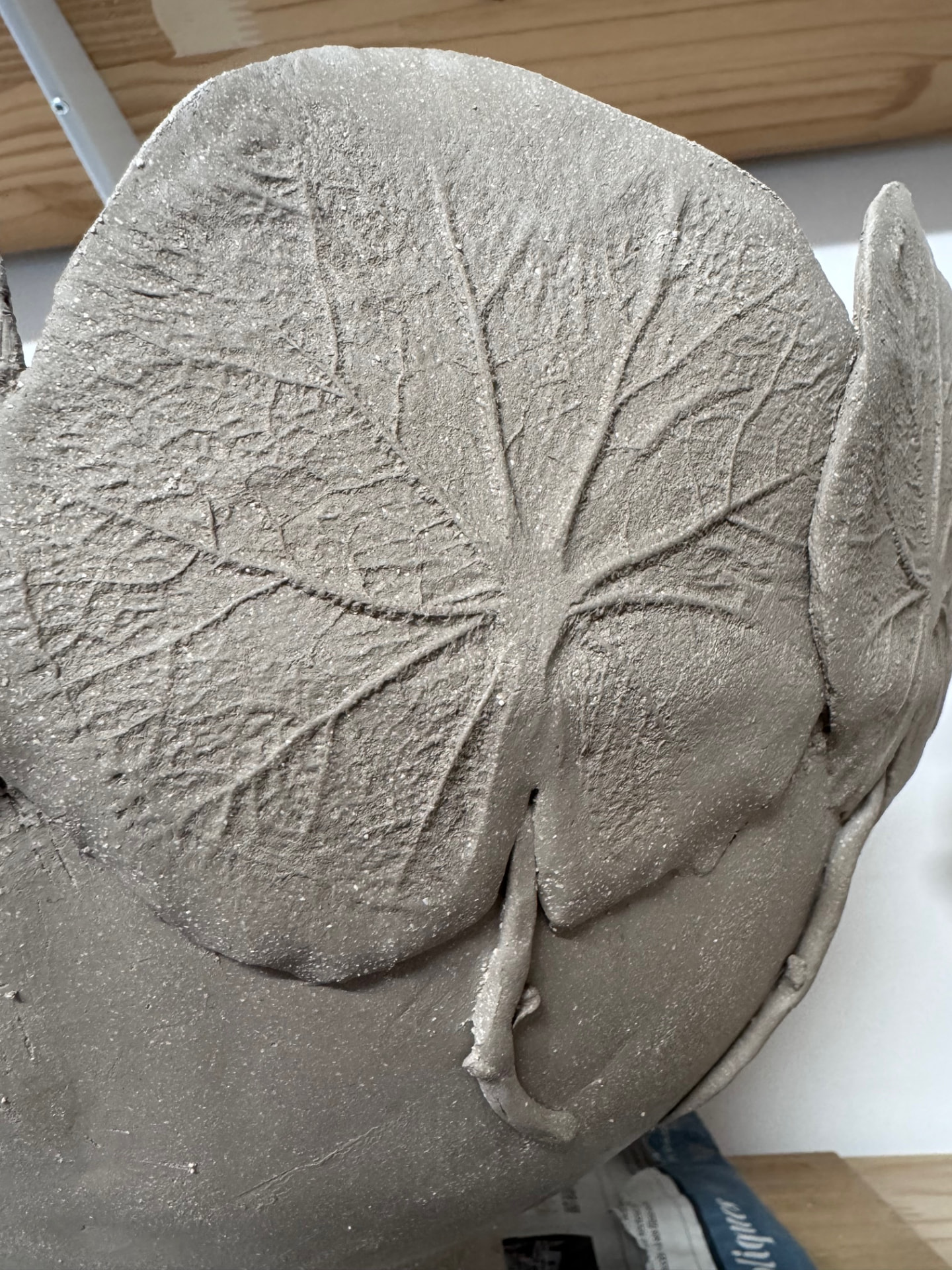 Empreinte de feuille sur grès cru, détail
