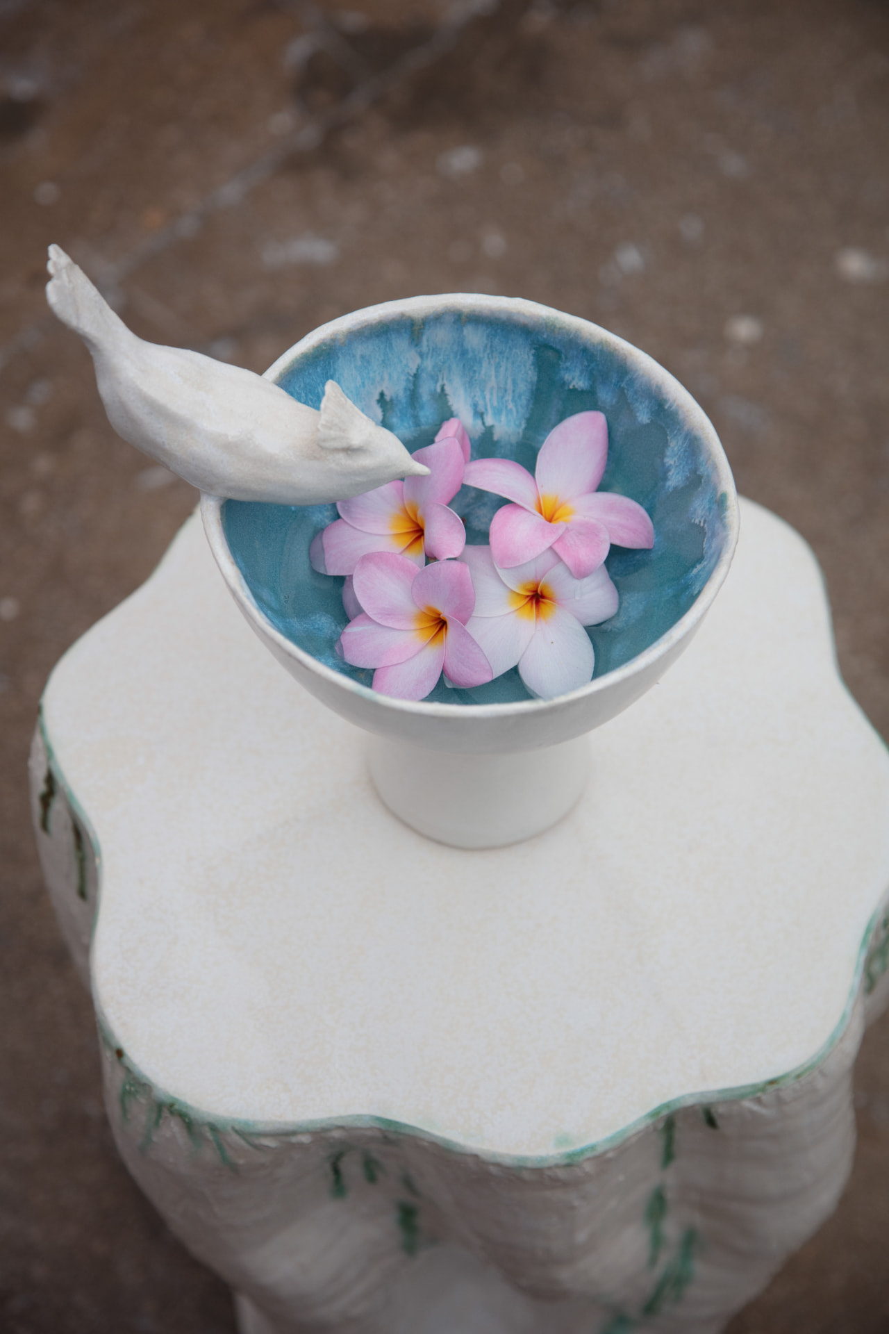 La coupe à la mésange huppée garnie de fleurs de frangipanier