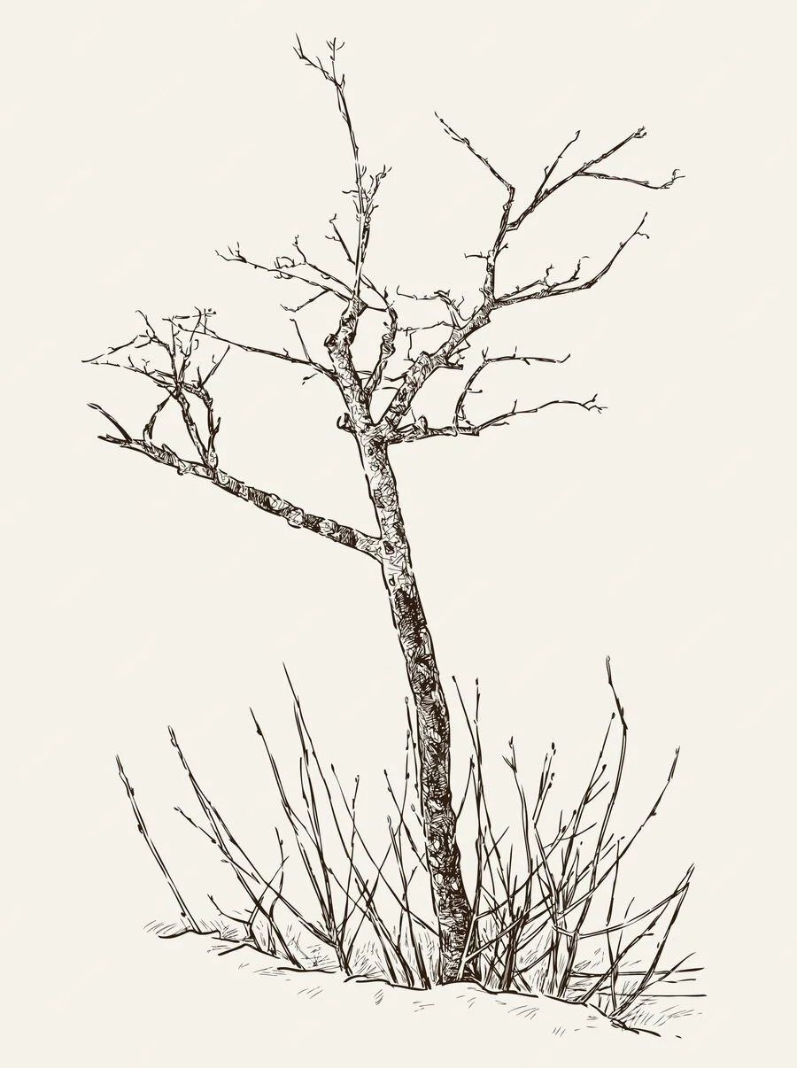 Botanical plate