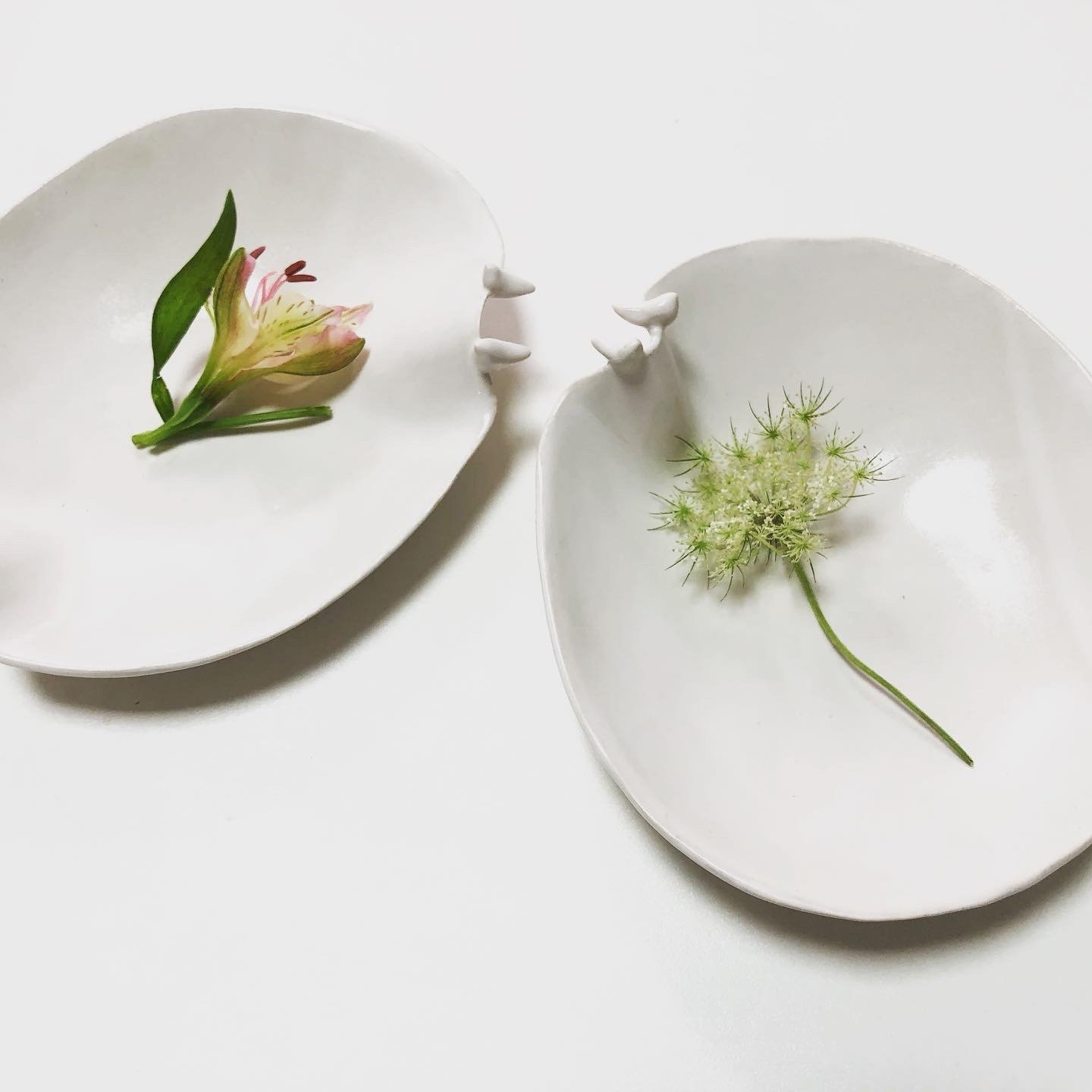 L'assiette aux oiseaux blancs, 2022. Grès blanc.