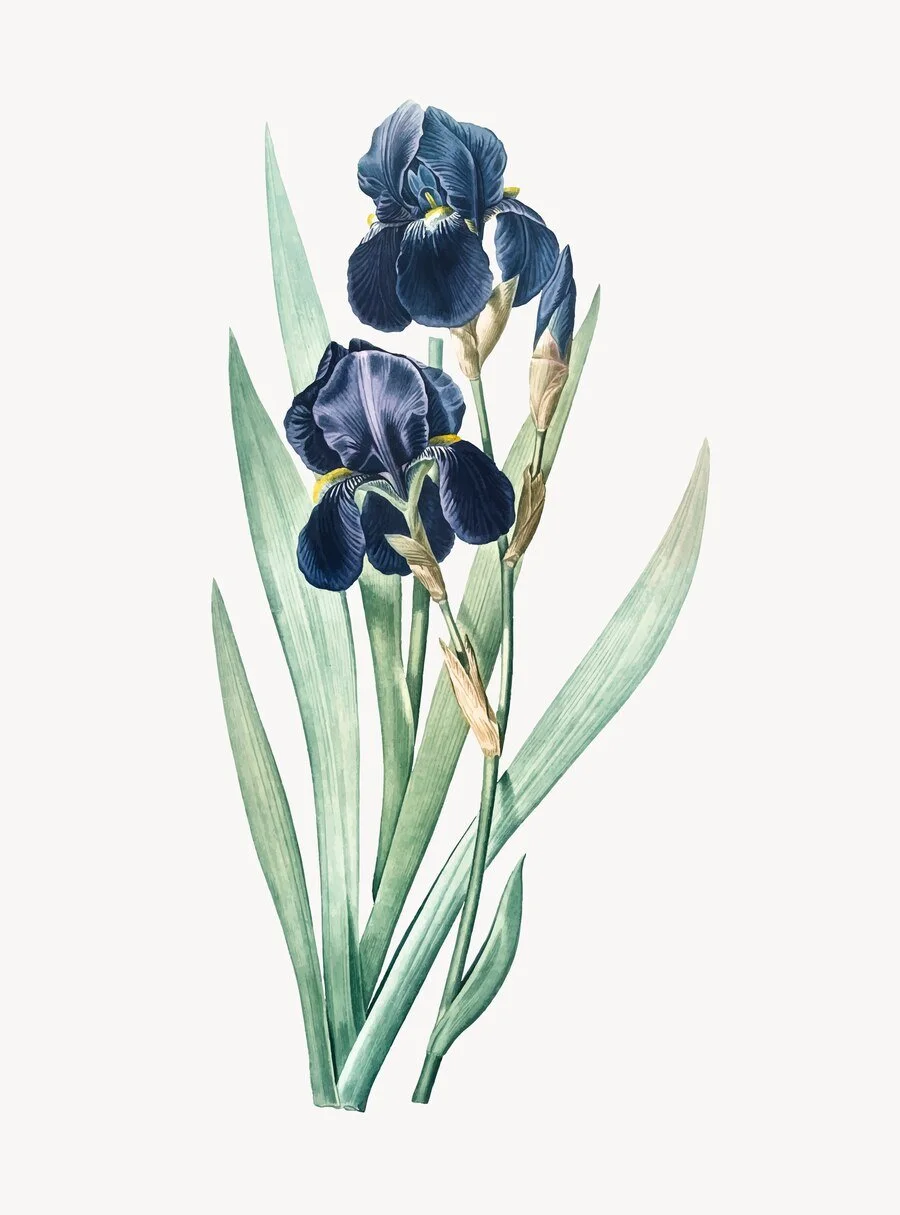 Botanical plate