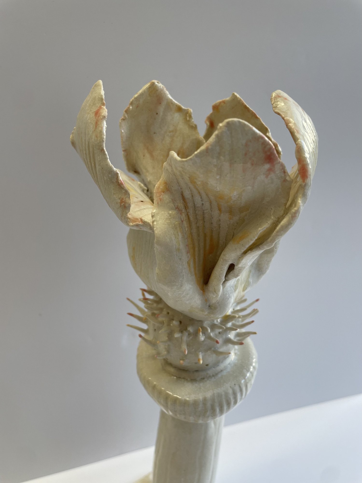 Le giraumon fleur, 2023. Grès blanc.